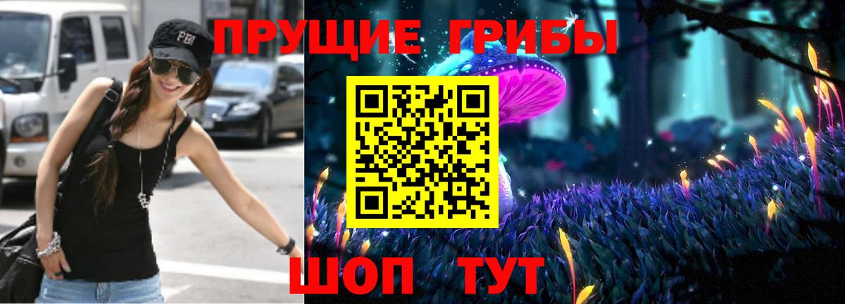 Галлюциногенные грибы Psilocybe  Вход с VPN  Губаха 